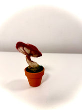 Cargar imagen en el visor de la galería, Amanita Carmesí — Escultura botánica en lana afieltrada