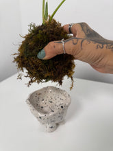 Cargar imagen en el visor de la galería, Kokedama en Base de Cerámica — Mini Escultura Botánica