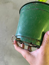 Cargar imagen en el visor de la galería, Vetiver- (Chrysopogon zizanioides)