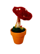 Cargar imagen en el visor de la galería, Amanita Carmesí — Escultura botánica en lana afieltrada