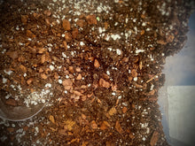 Cargar imagen en el visor de la galería, Sustrato Aireado para Plantas de Interior
