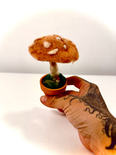 Cargar imagen en el visor de la galería, Hongo del Silencio — Escultura botánica en lana afieltrada