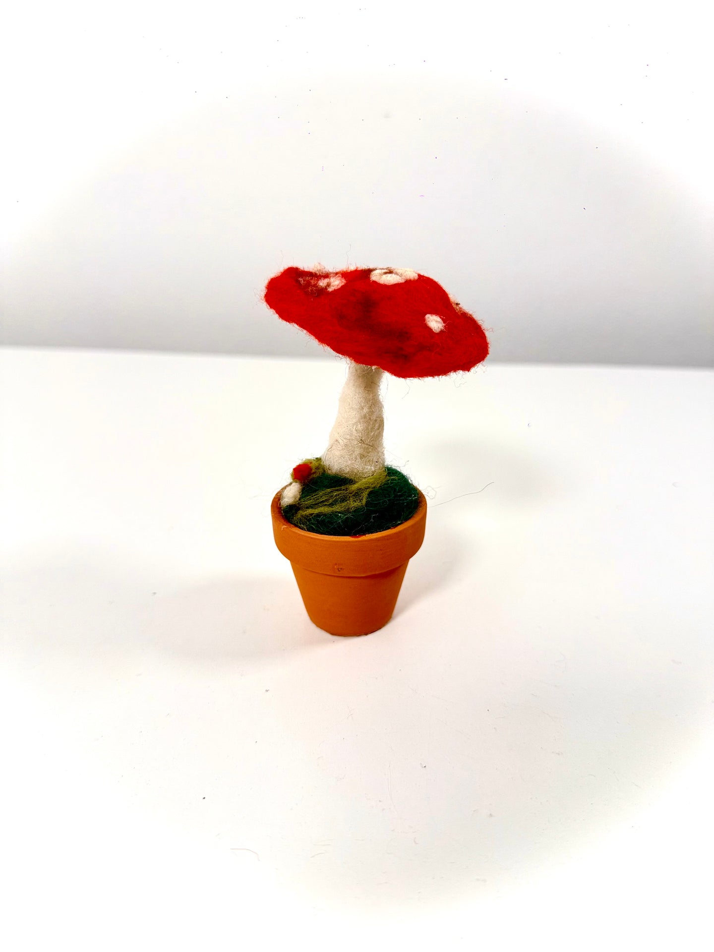 Amanita del Ensueño— Escultura botánica en lana afieltrada