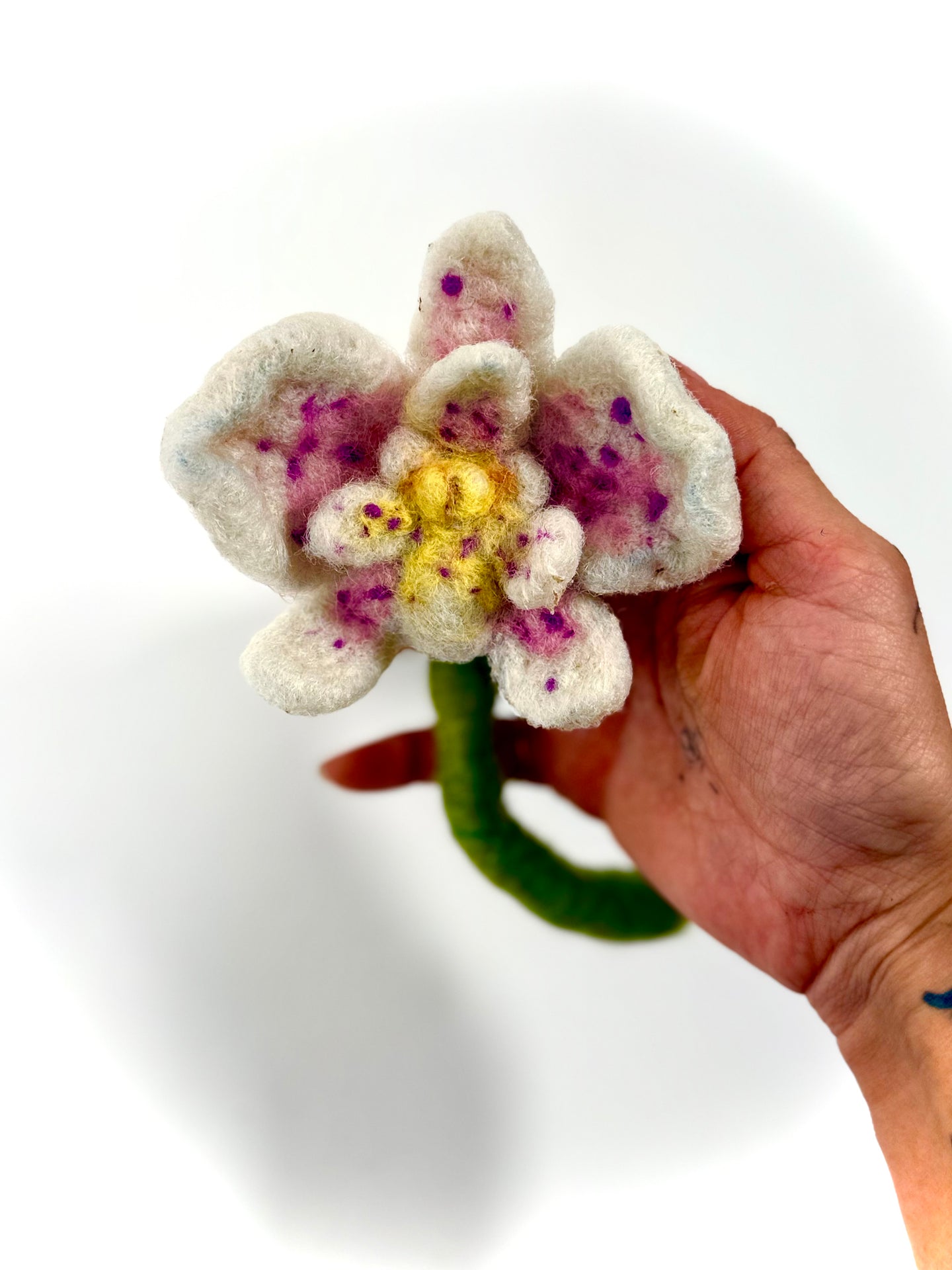 Orquídea del Alba— Escultura textil y amuleto botánico
