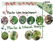 Cargar imagen en el visor de la galería, Naturaleza en Diseño
