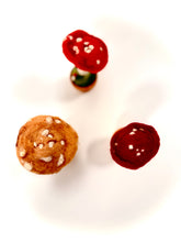 Cargar imagen en el visor de la galería, Amanita Carmesí — Escultura botánica en lana afieltrada
