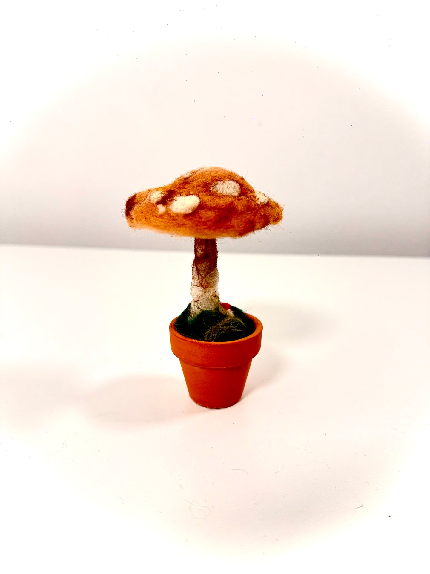 Hongo del Silencio — Escultura botánica en lana afieltrada