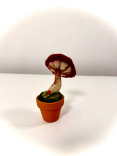 Cargar imagen en el visor de la galería, Amanita Carmesí — Escultura botánica en lana afieltrada
