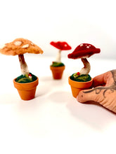 Cargar imagen en el visor de la galería, Amanita Carmesí — Escultura botánica en lana afieltrada
